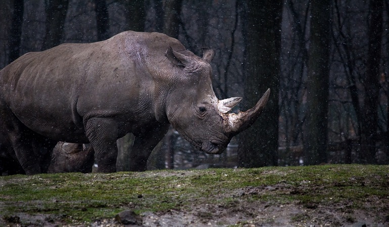 wildlife photography course