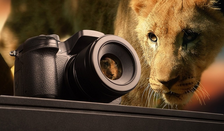 EVERYTHING YOU NEED TO KNOW ABOUT THE FOCAL DISTANCE OF YOUR TARGET