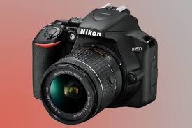 Nikon D3500: a week with an expert