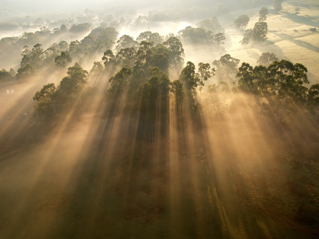 TIPS FOR A STUNNING FOG PHOTOGRAPH