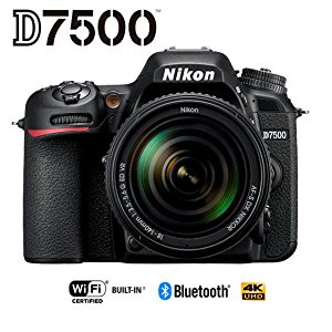 Nikon D7500. Week with an expert