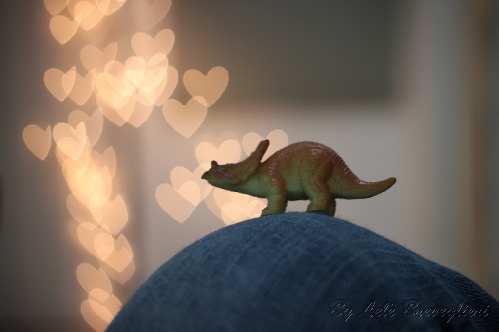 BOKEH: PHOTOGRAPHIC EFFECT EXPLAINED IN 7 STEPS (WITH EXAMPLES)