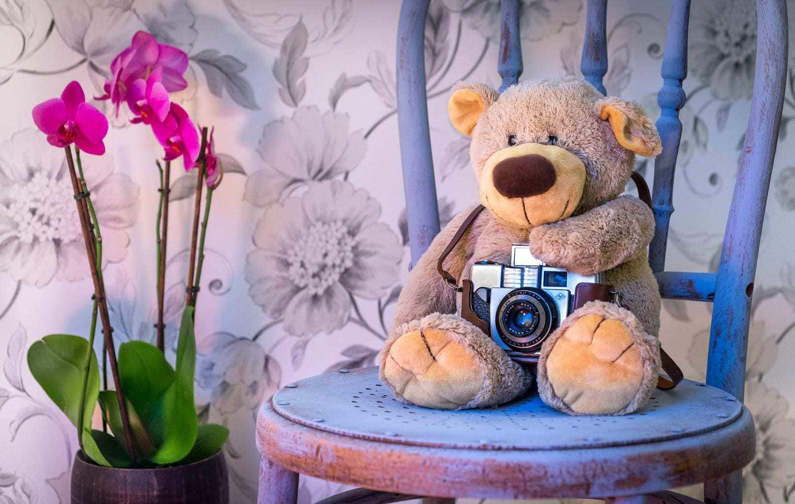 HOW TO TEACH PHOTOGRAPHY TO CHILDREN (WITHOUT BORING THEM)