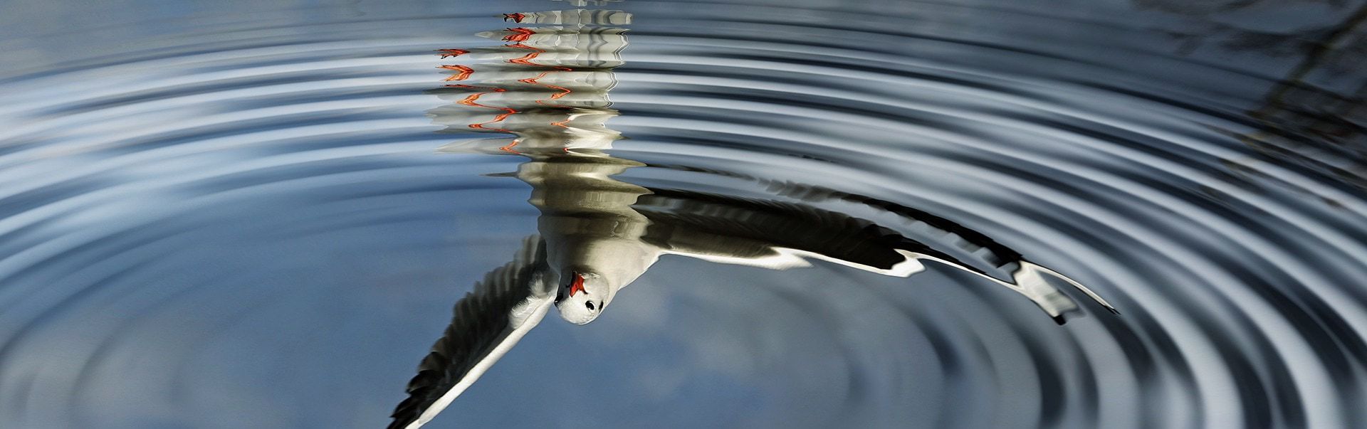 35 PHOTOGRAPHS OF REFLECTIONS (TO FILL YOU WITH INSPIRATION)