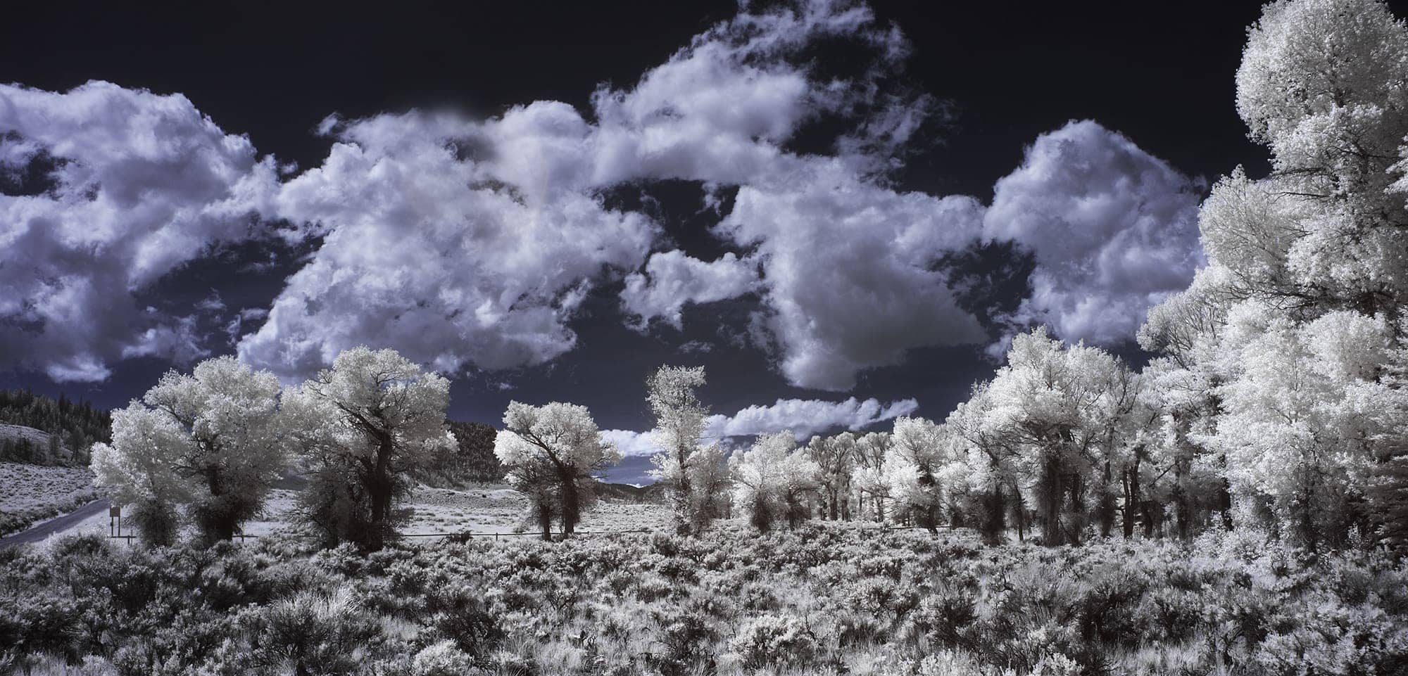 HOW TO TAKE YOUR FIRST INFRARED PHOTOGRAPHY?