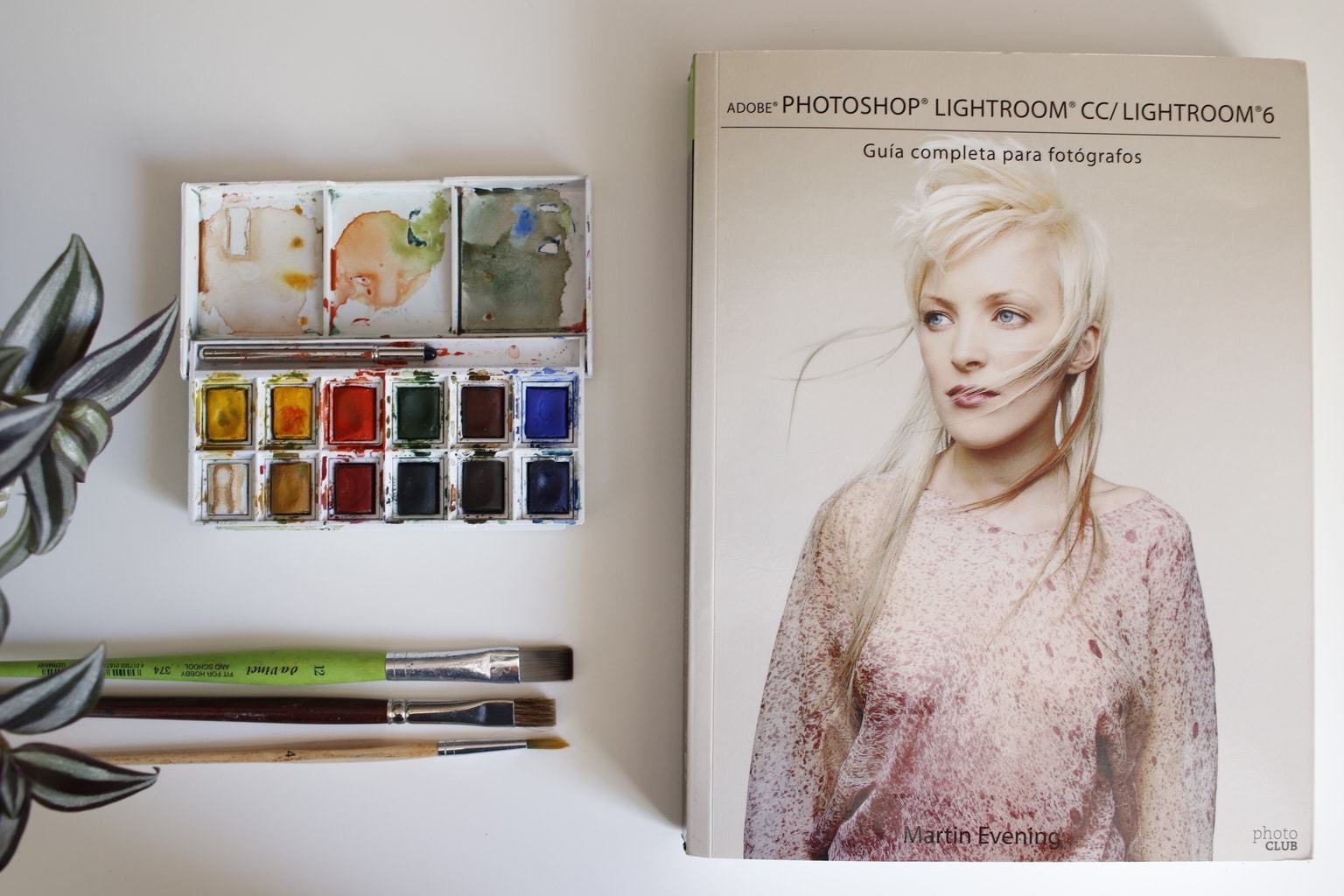 BOOK RECOMMENDATION: THE ULTIMATE GUIDE TO LIGHTROOM (BY MARTIN EVENING)